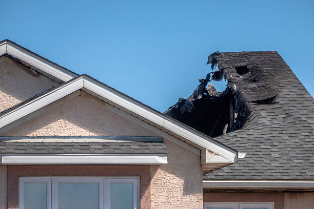 Licensed Content Restoration service in Collingswood, NJ - Fire Damage Biloxi